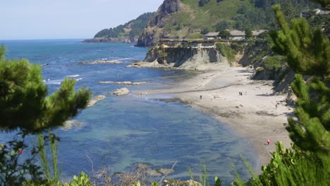 木々の間から海の景色を望むビーチに向かって移動