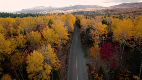 aerial drone view: quebec countryside in fall, scenic roadway through dense autumn forest, hills, and distant mountains