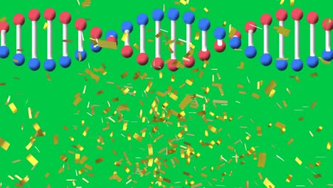 animation of confetti falling over dna strand spinning on green screen background