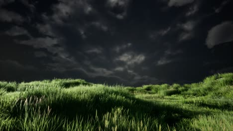 Gewitterwolken-über-Der-Wiese-Mit-Grünem-Gras