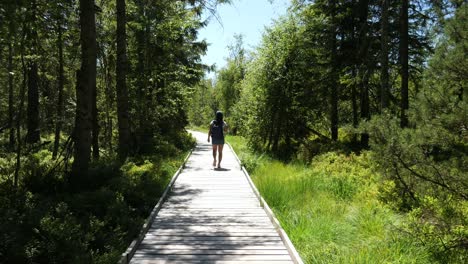 woman walking on a wooden path near lake hohlohsee at the highland moor in kaltenbronn in the black forest, germany