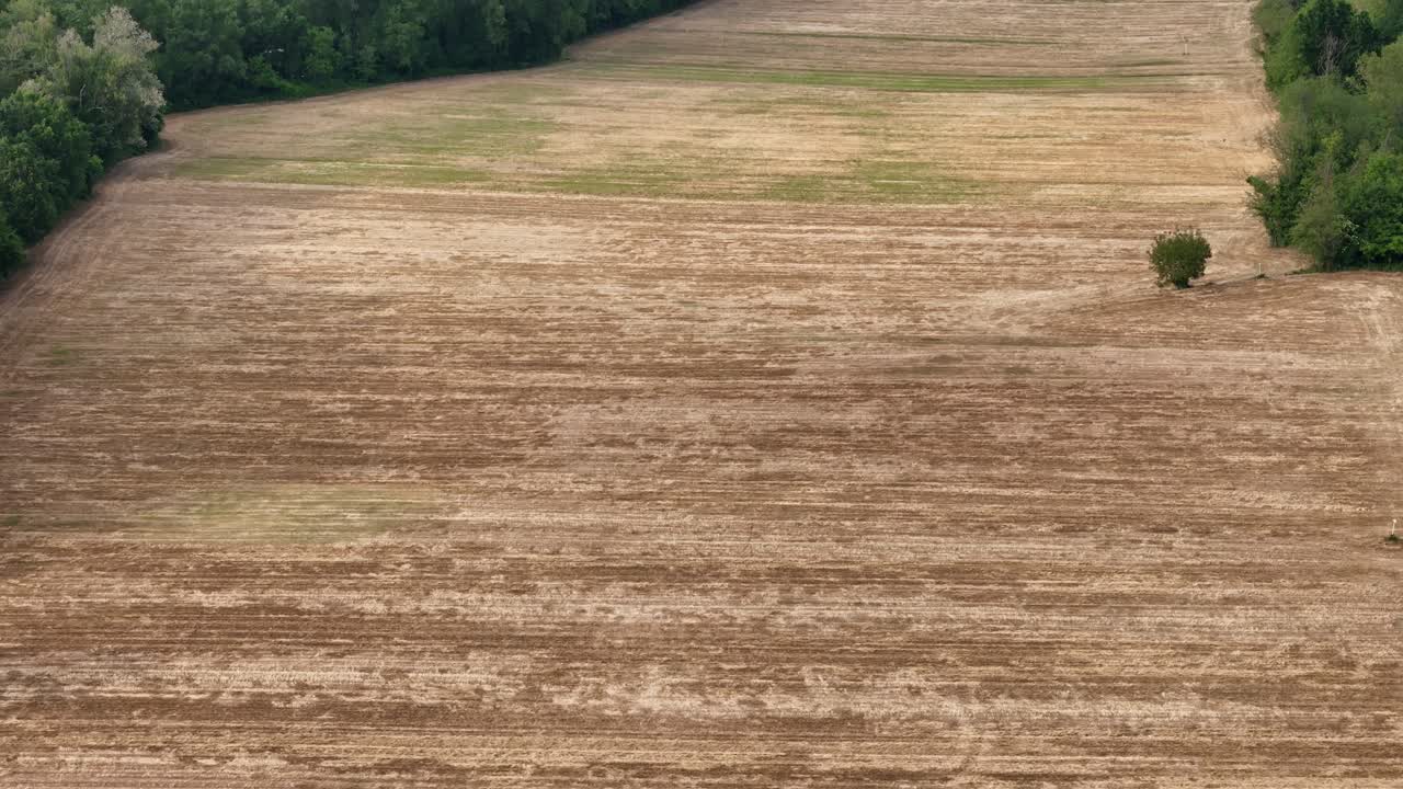 Drone footage shows the medieval village of Castell'Arquato on a hilltop, surrounded by dense forests, farmland, and scenic hills, highlighting the lush landscape of Piacenza, Italy, real time.