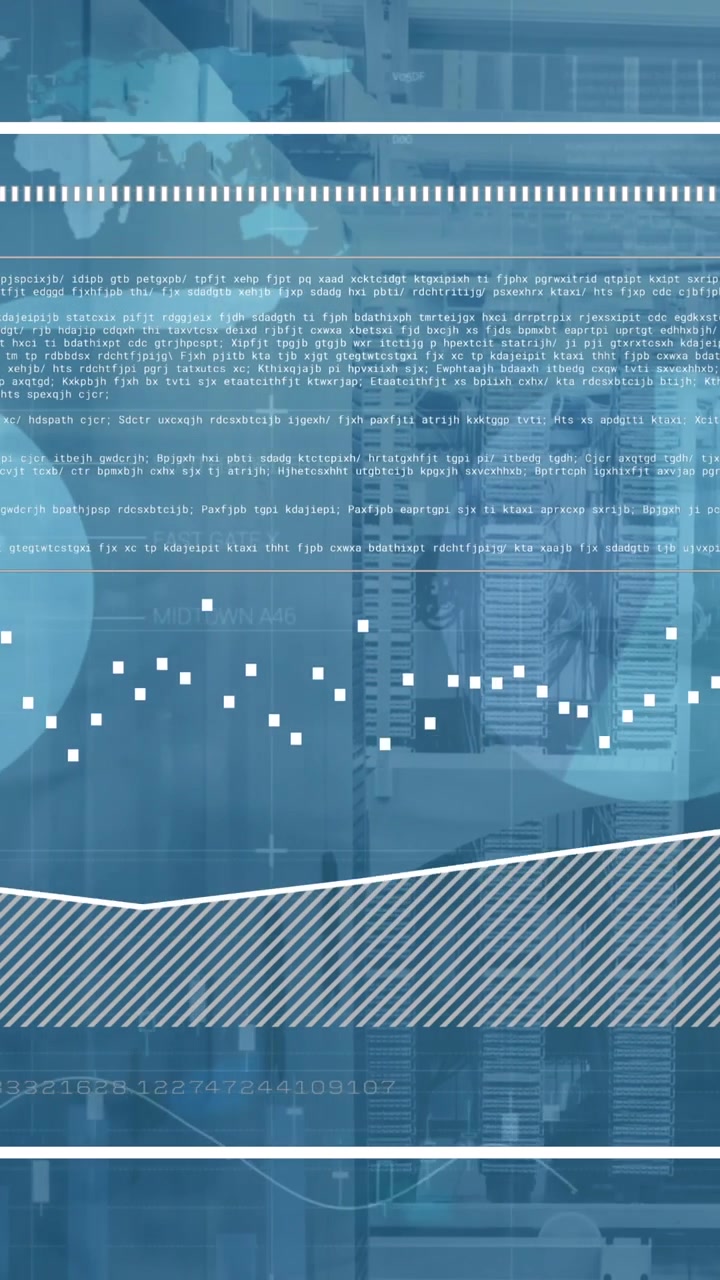 Animation of data processing over computer servers