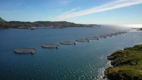 farm salmon fishing in norway