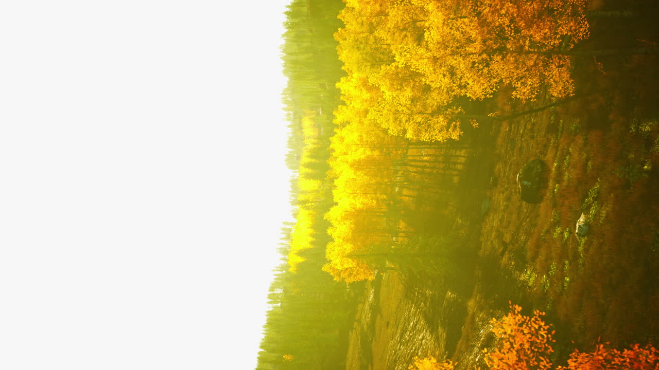 осенний лесной пейзаж