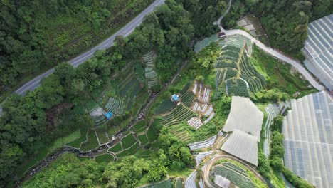 general landscape view of the brinchang district within the cameron highlands area of malaysia