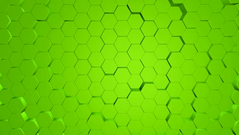 green hexagons background.