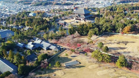 aerial drone view nearby big japanese temple todaji temple in nara japan