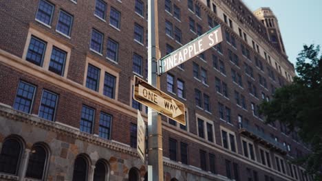 new york signs. pineapple street