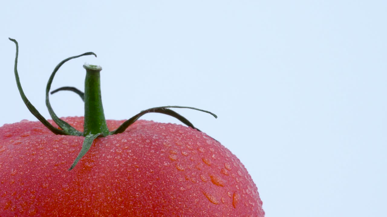 macro disparo de la parte inferior izquierda de un gran tomate rojo con gotas de agua. girando lentamente en la mesa giratoria aislada en el fondo blanco. primer plano