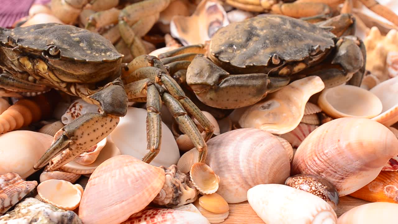 Live crabs. Shooting of crabs