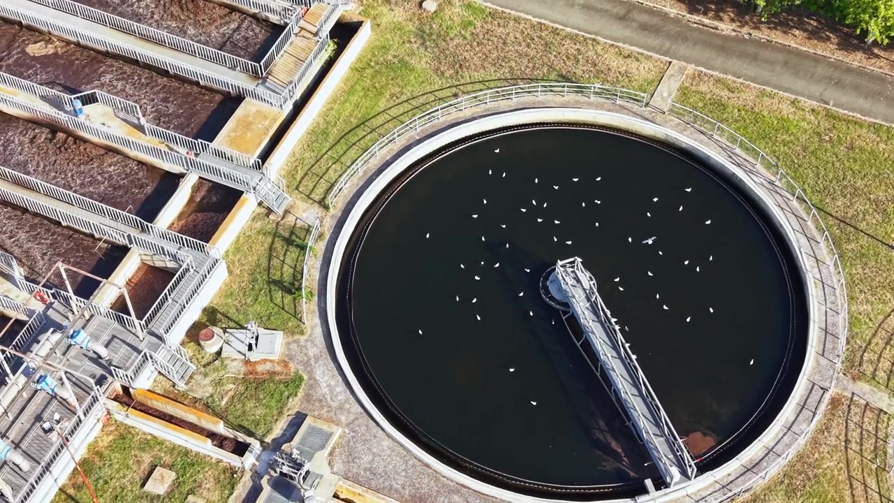 Birds gather around a circular water treatment facility during daytime hours in an industrial area