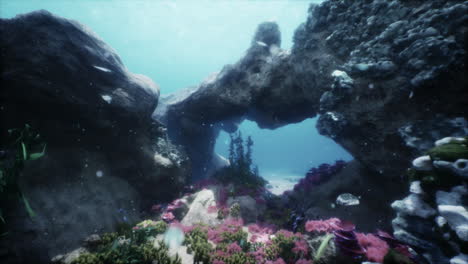 underwater coral reef scene