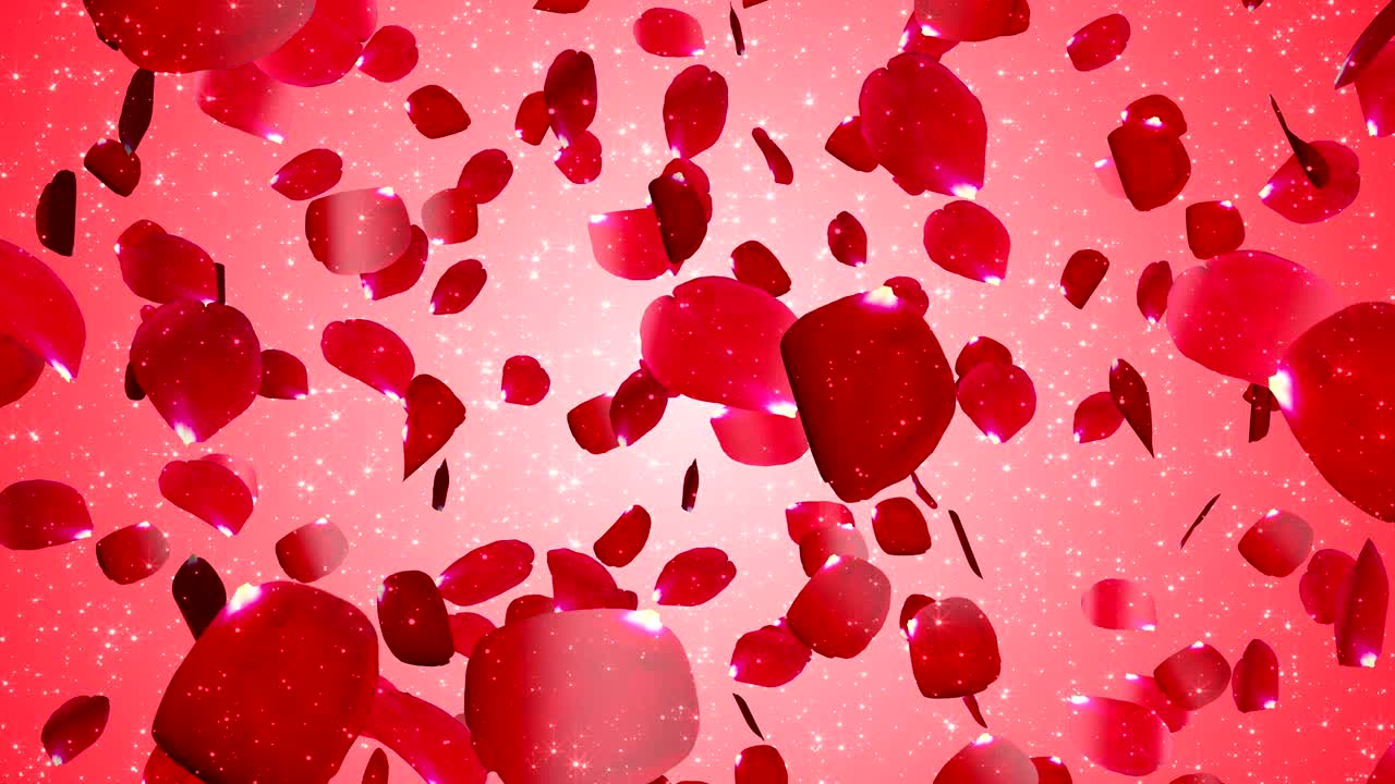 4k 날아다니는 장미 잎자루