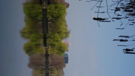 vertical shot of public park with lake, trees and seagulls