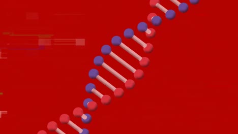 Animación-De-Interferencia-Y-Cadena-De-ADN-Sobre-Fondo-Rojo.