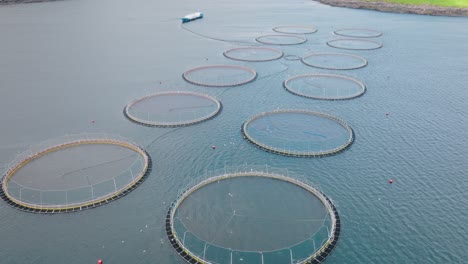 fish farming pens in open water, faroe islands, aquaculture, sustainability focus