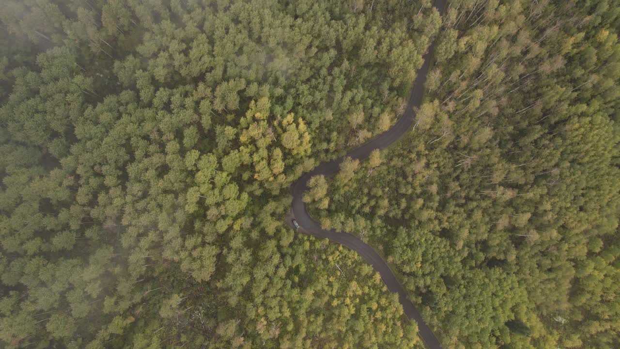 disparo aéreo de arriba hacia abajo alcanza las nubes de la carretera de bucle alpino entre el bosque verde