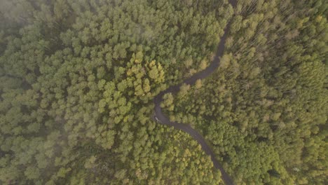 Toma-Aérea-De-Arriba-Hacia-Abajo-Alcanza-Las-Nubes-De-La-Carretera-Alpina-Entre-Bosques-Verdes