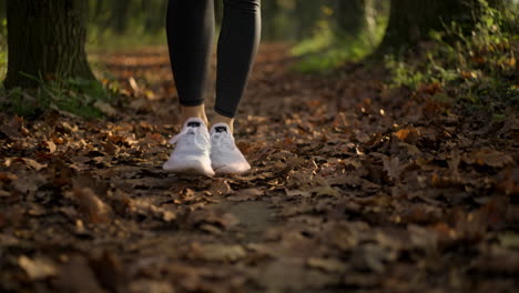 person walking on a leaf-covered path in autumn forest