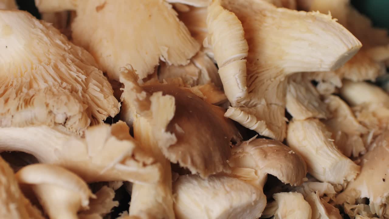 la mano de la mujer sostiene una canasta de setas de ostras pulmonares. un primer plano de la comida de los agricultores del supermercado.
