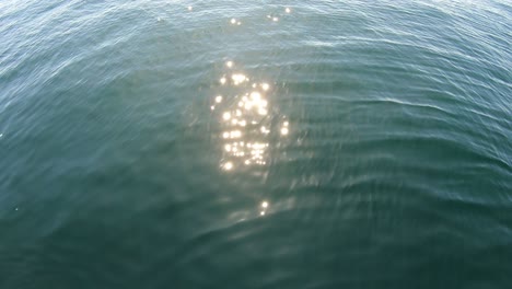 waves and water reflections on the ocean (loop)