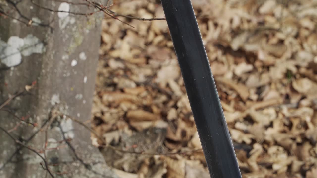 A detailed close-up of a black ninja sword stuck in the ground among dry autumn leaves. A perfect cinematic shot for themes of battle, honor, and martial arts storytelling