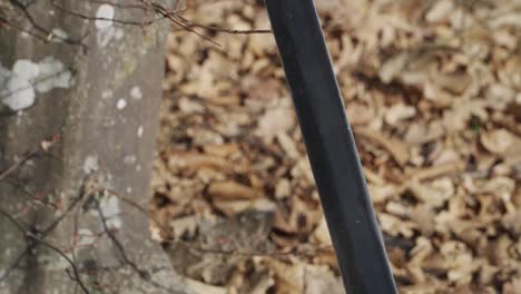 a detailed close-up of a black ninja sword stuck in the ground among dry autumn leaves. a perfect cinematic shot for themes of battle, honor, and martial arts storytelling