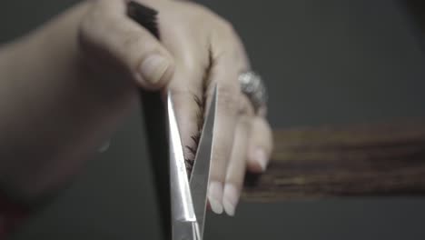 hairdresser cutting long woman's long hair to length with scissors