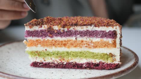 colorful layered cake slice