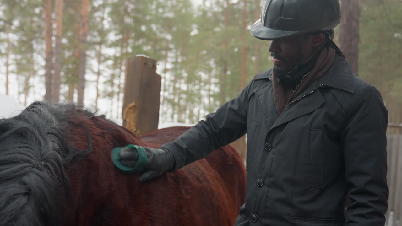 Un peluquero de color cepilla un caballo marrón en un prado nevado, con casco y guantes, acariciando suavemente la crin con un cepillo verde, bosque de pinos y valla de madera de fondo, rutina de cuidado invernal y primer plano detallado