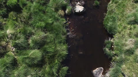 Birdseye-close-up-aerial-tracking-forward-of-a-rocky-river-following-downstream-surrounded-by-grassy-moor-foliage,-sun-in-the-reflection-of-the-river,-Dartmoor,-England