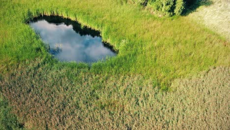 top view aerial flight over small lake of perfectly round shape