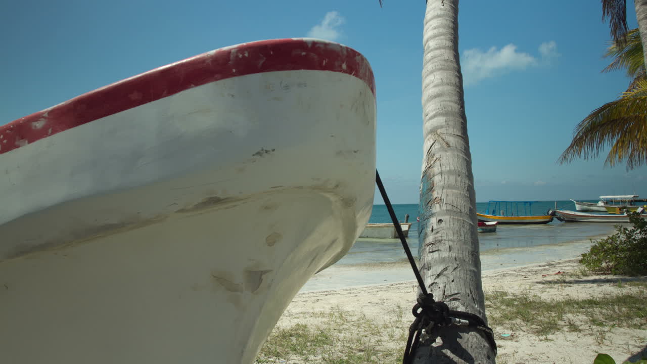 Isla Barche DP 02