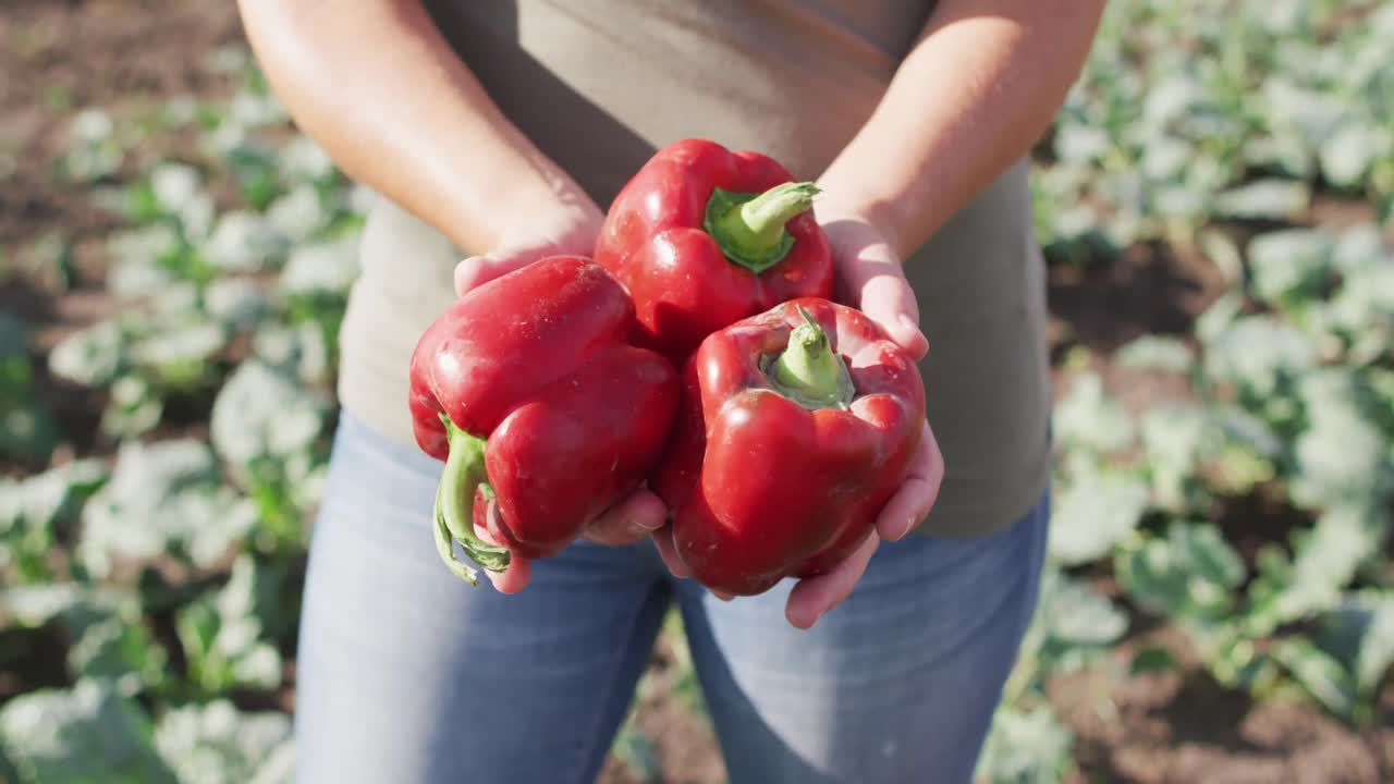 고추 를 들고 있는 백인 여자 의 손 의 비디오