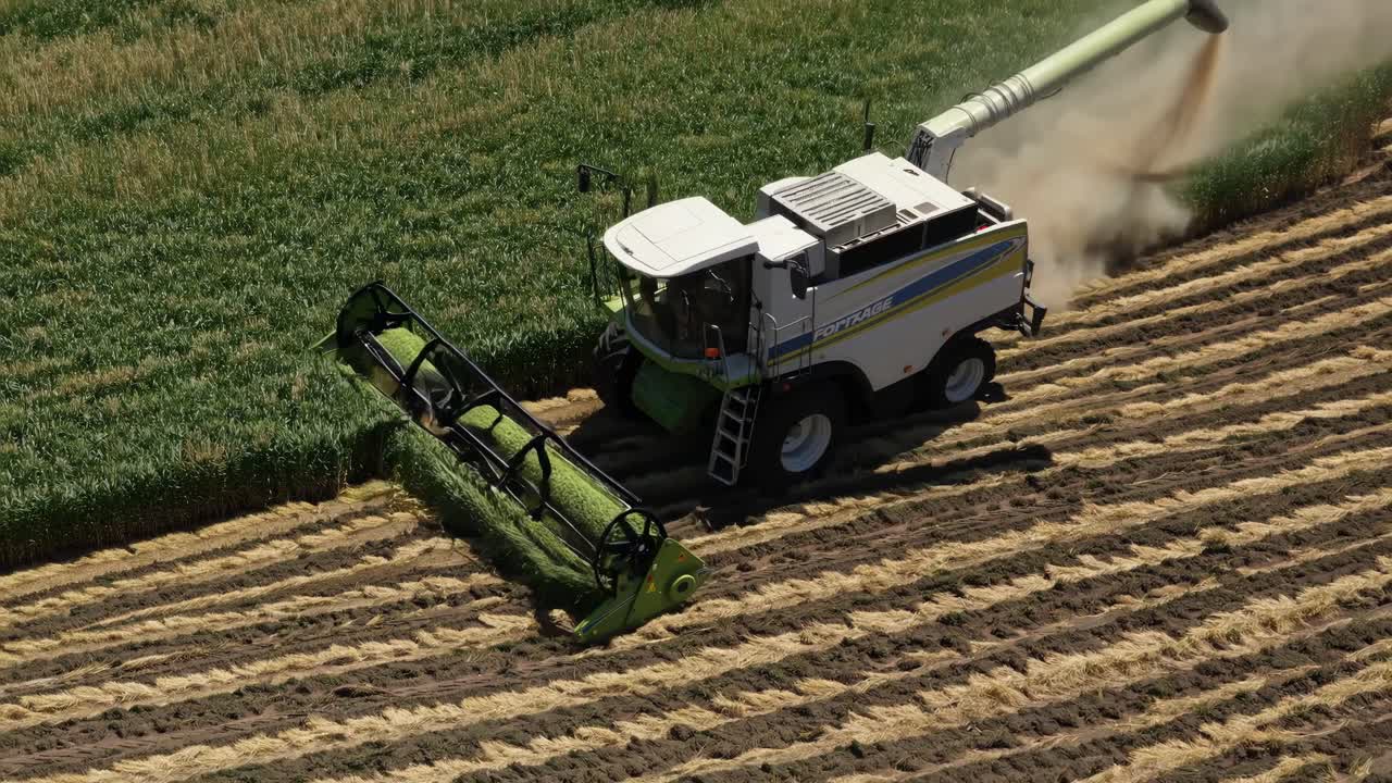 cosechadora combinada trabajando en un campo de trigo