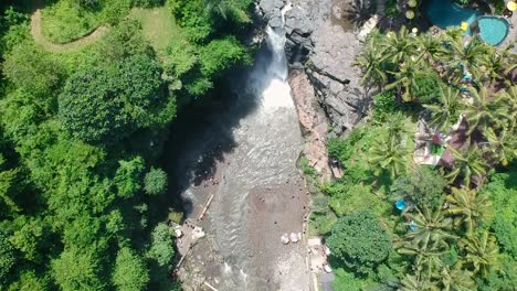 la vista de pájaro de arriba hacia abajo revela una toma de drones de la cascada de tegenungan y un río rodeado por una exuberante jungla verde y resorts en bali, indonesia
