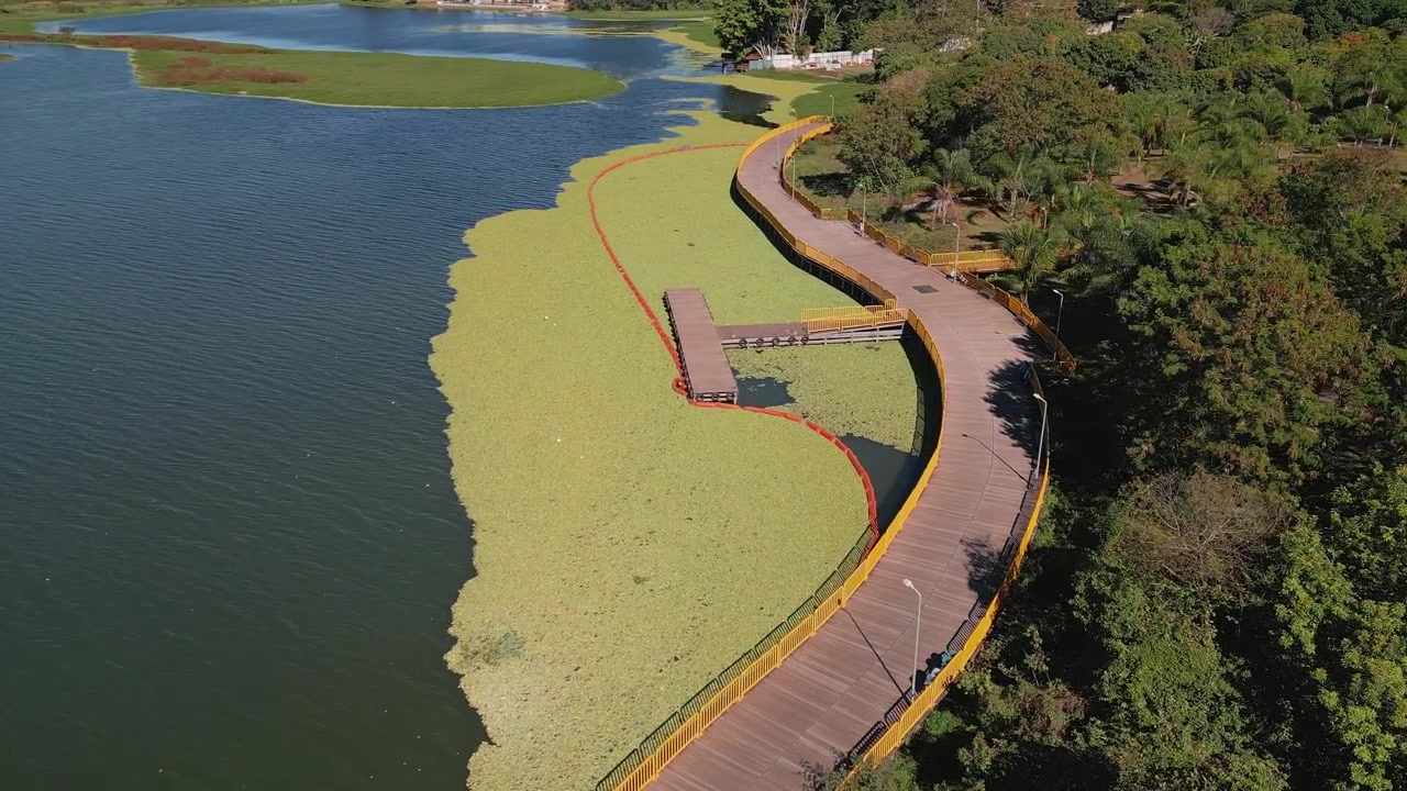 Drone orbita sobre o Lago Paranoá, Brasília, Distrito Federal, Brasil, revelando um píer de madeira, aguapés flutuantes, barreira de contenção, calçadão à beira do lago, parque urbano e espelho d'água.