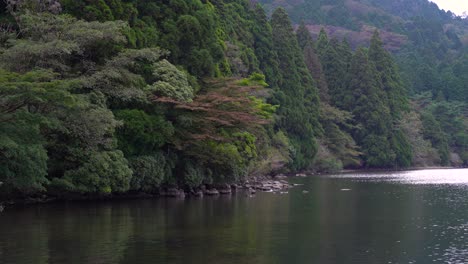 calm scenery of green forest nature with early autumn colors next to lake