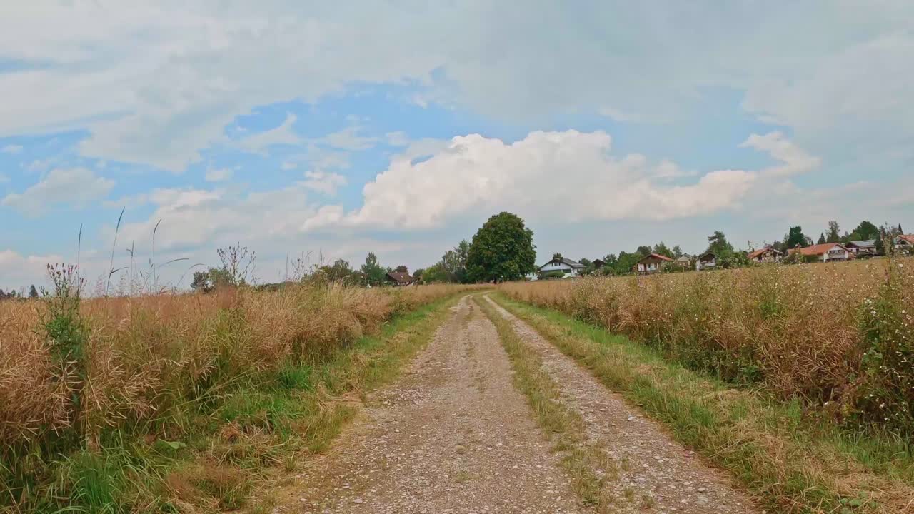 아름답고 따뜻한 여름 날씨를 지닌 시골길에서 운전자의 시야에서 자전거 여행의 초고속