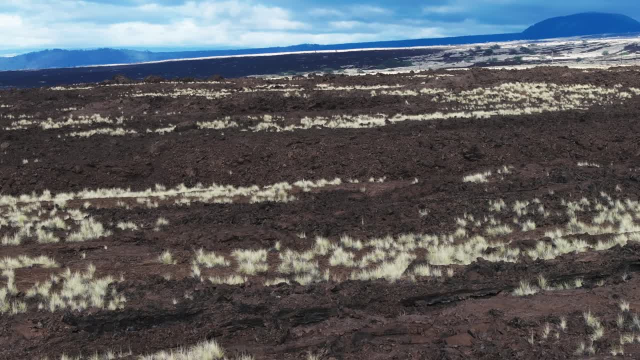 Lush Vegetation Emerges on Lava Fields in a Volcanic Region, Showcasing Nature's Resilience and Adaptability Over Time