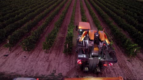 aerial: farmers harvesting the grapes in southern france