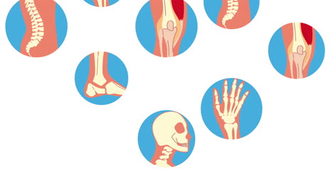 pattern of human pains rheumatology disease animation