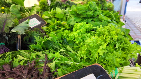 Hierbas-Verdes-Frescas-De-La-Granja-Local-A-La-Venta-En-Un-Mercado-De-Agricultores-Orgánicos,-Verduras-Biológicas-Saludables-Y-Hojas-De-Ensalada,-Tomas-De-4k