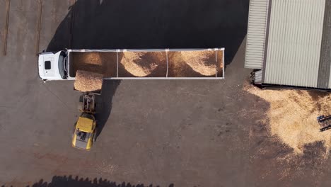 loader tractor loading wood chips into trailer truck at sawmill factory