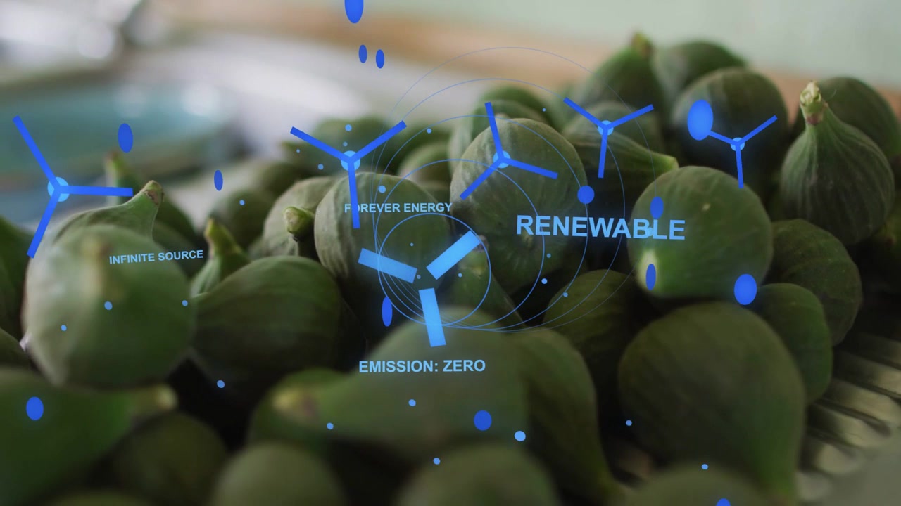 Green figs on tray, HUD turbine icons fading in and anchoring over figs, highlighting renewables