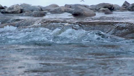 turbulent water flow down icy river over rock, close up stationary