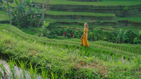 travel woman in rice paddy wearing yellow dress walking in rice terrace exploring cultural landscape on exotic vacation through bali indonesia discover asia