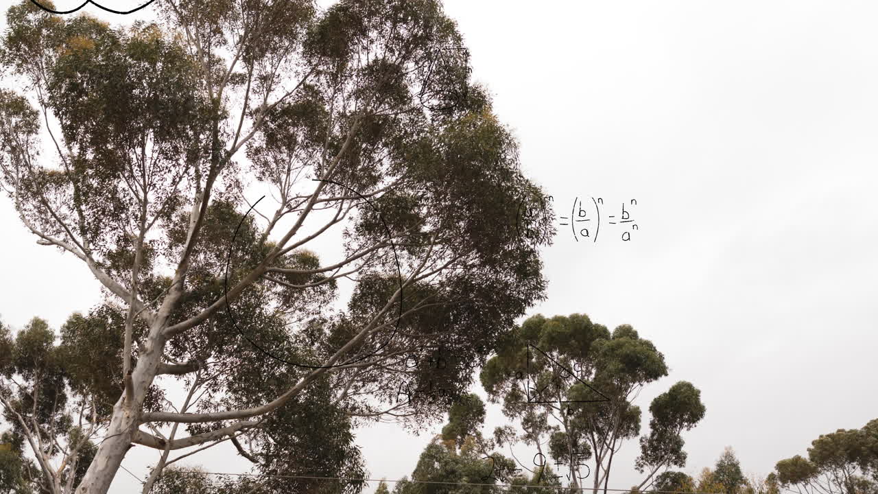 나무와 하늘 위에 수학적 공식과 방정식의 계층의 애니메이션