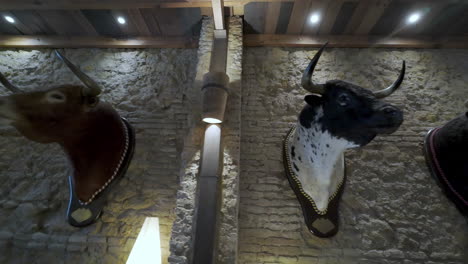 Bulls-head-natural-stone-wall-decoration-wooden-beam-ceiling-traditional-Spanish-house